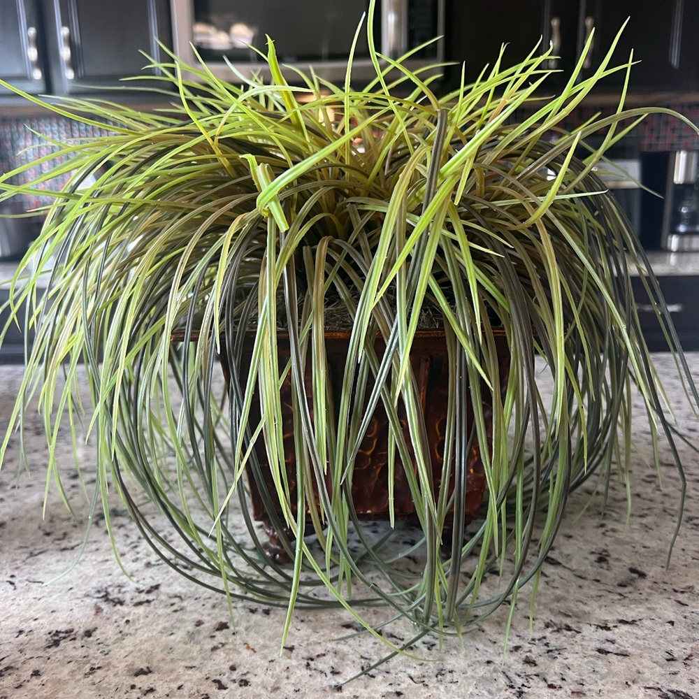 Green Faux Grass in Brown Planter - Picture 1 of 7